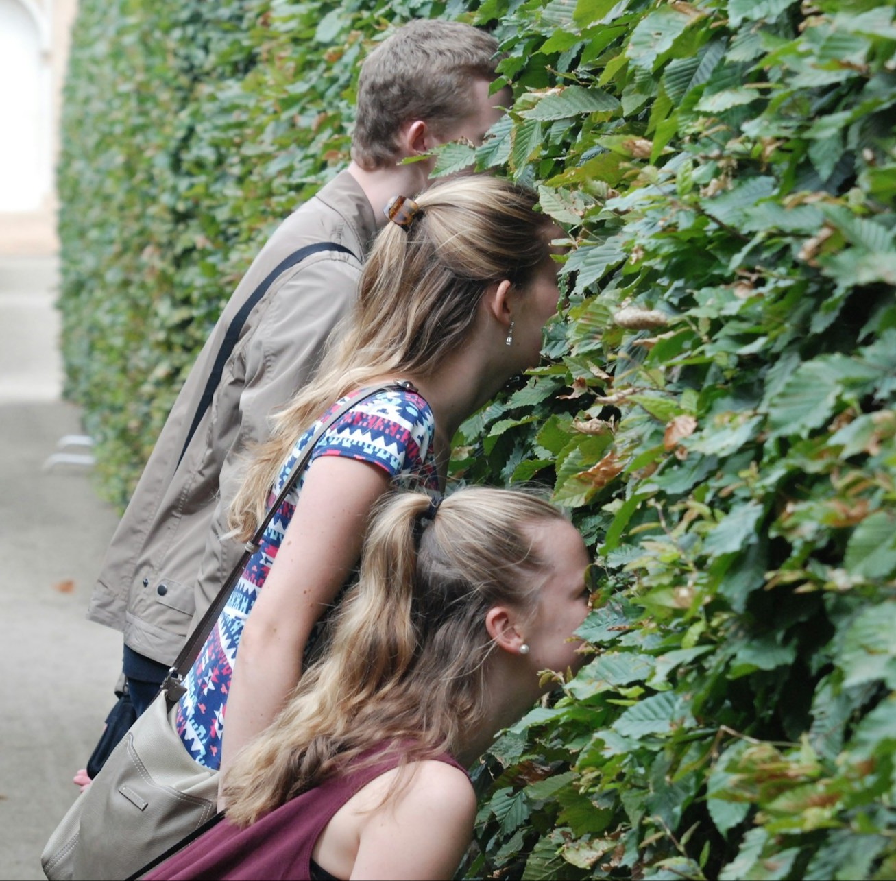 carsten-carlsson-oKpNRQBoIus-unsplash - Photo by Carsten Carlsson on Unsplash carsten-carlsson-oKpNRQBoIus-unsplash - Photo by Carsten Carlsson on Unsplash